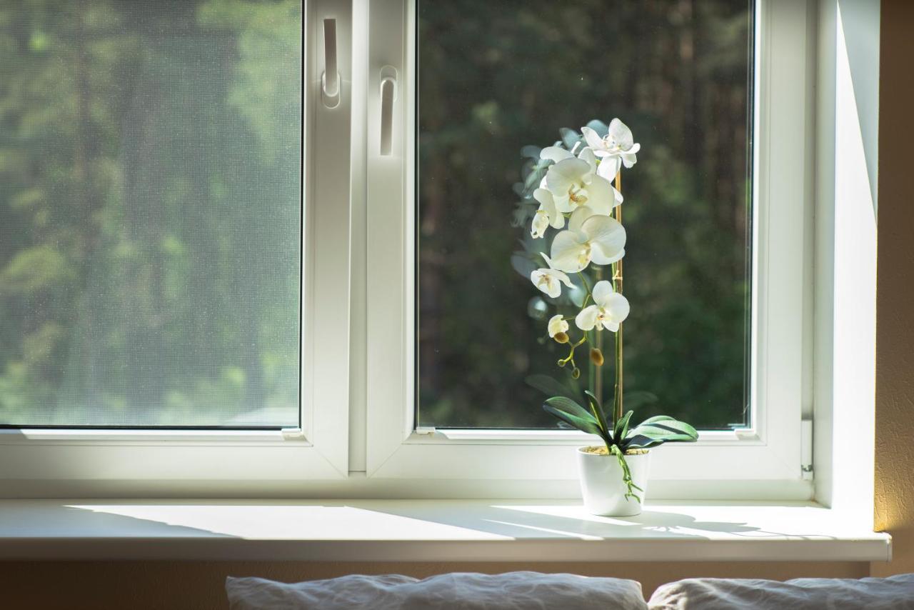 Comfort 3-room With A Workplace Near The Wood * Jurmala
